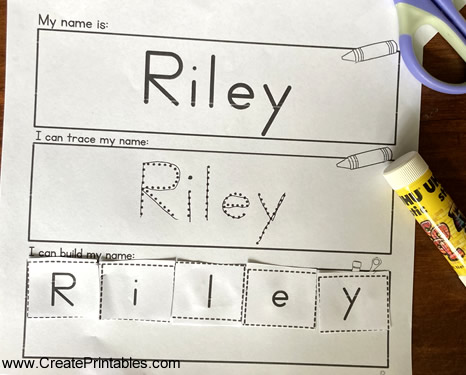 Lily-Name Trace Worksheet - 10 P Graphic by QM GRAPHICS · Creative